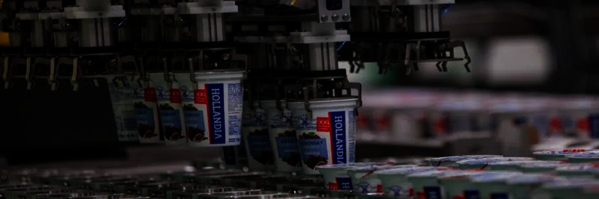 produkce produktů Hollandia