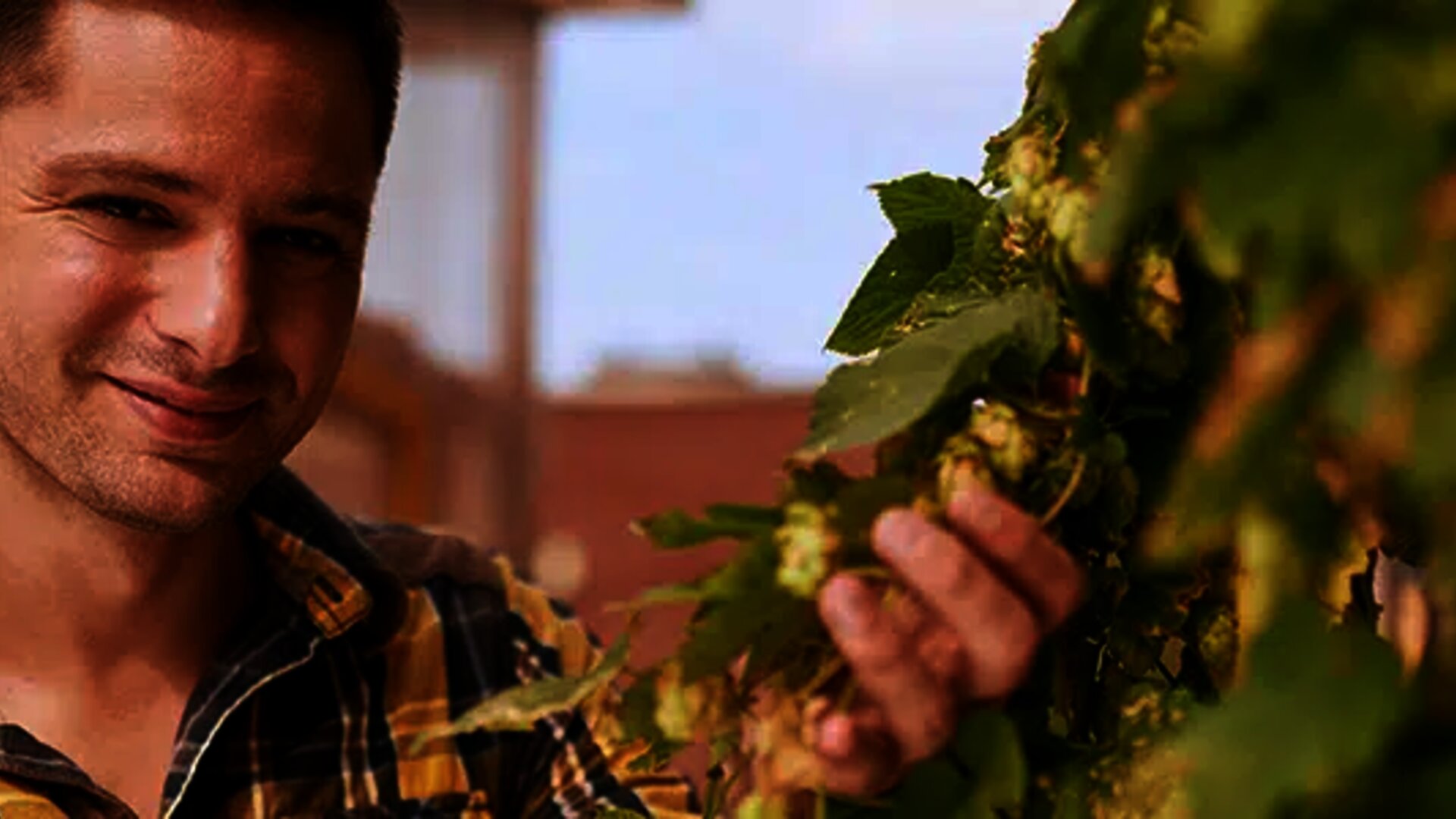 Editel Adria i Carlsberg Croatia u projektu e-poslovanja