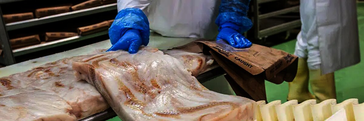 ryba žilina - v&yacute;roba rybac&iacute;ch produktov