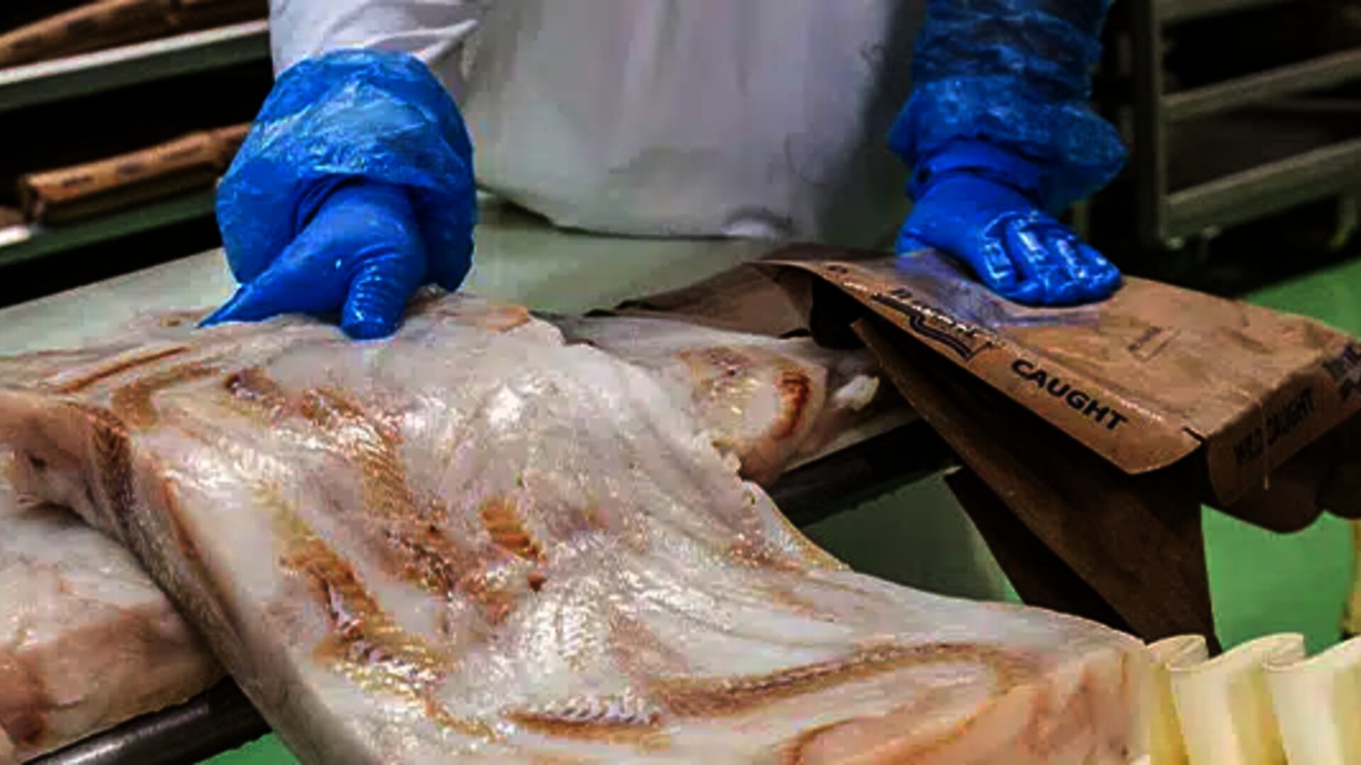 ryba žilina - v&yacute;roba rybac&iacute;ch produktov