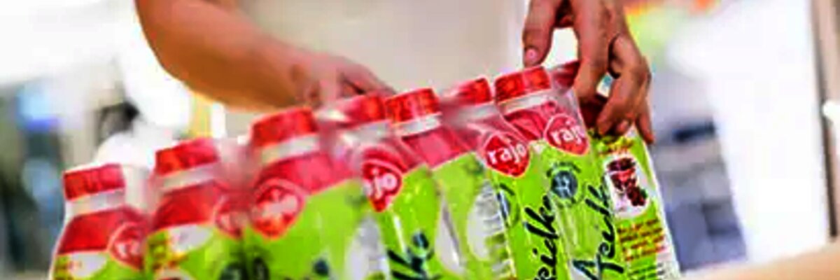 Rajo Meggle EDI integr&aacute;cia