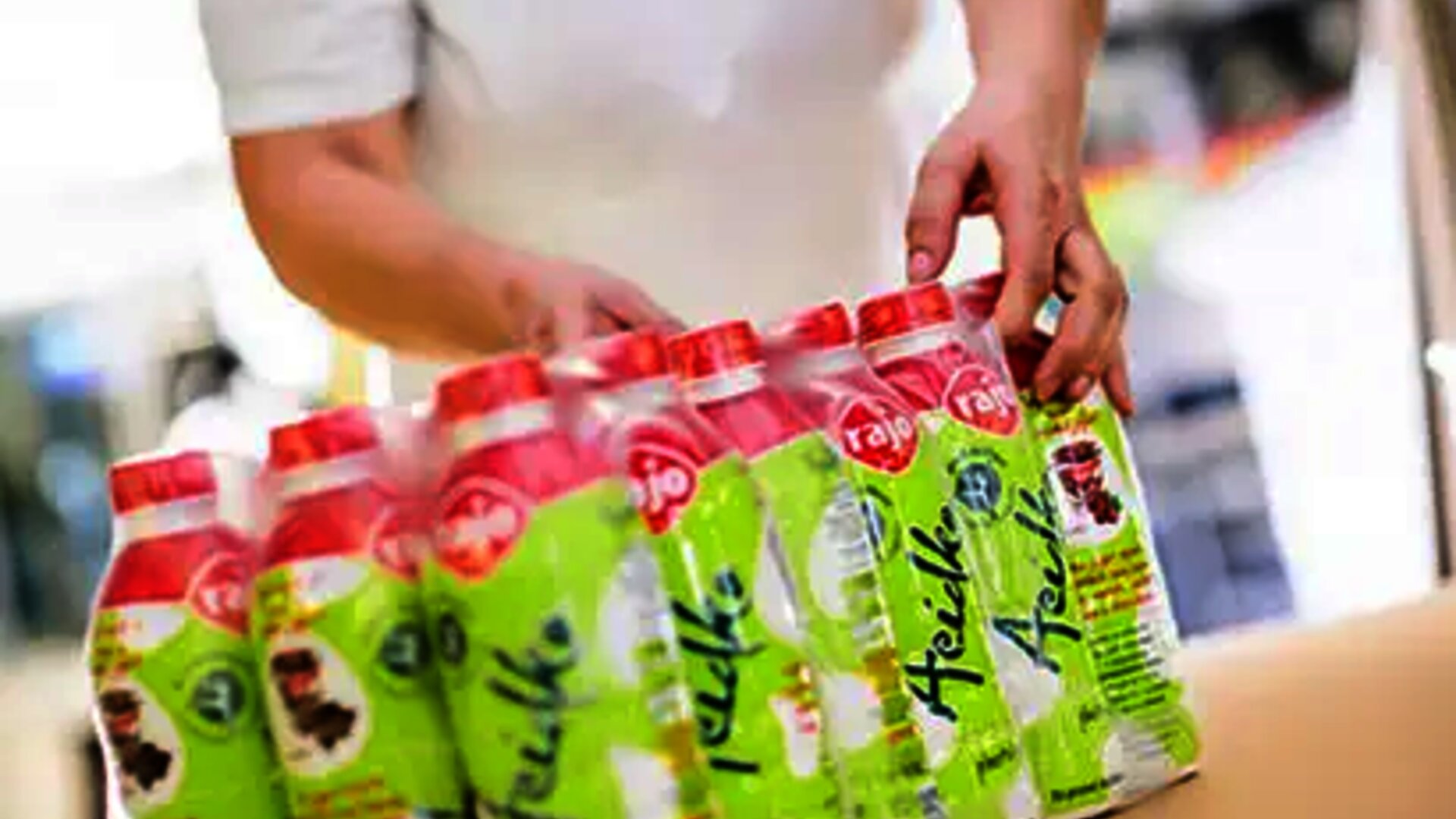 Integr&aacute;cia EDI spoločnosti Rajo Meggle