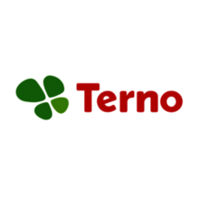 logo terno