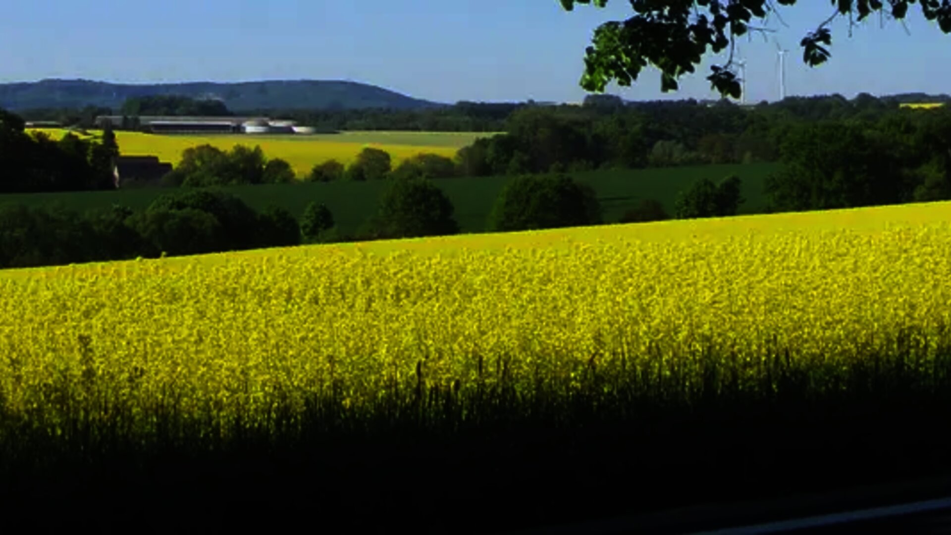nature-view-agrofert