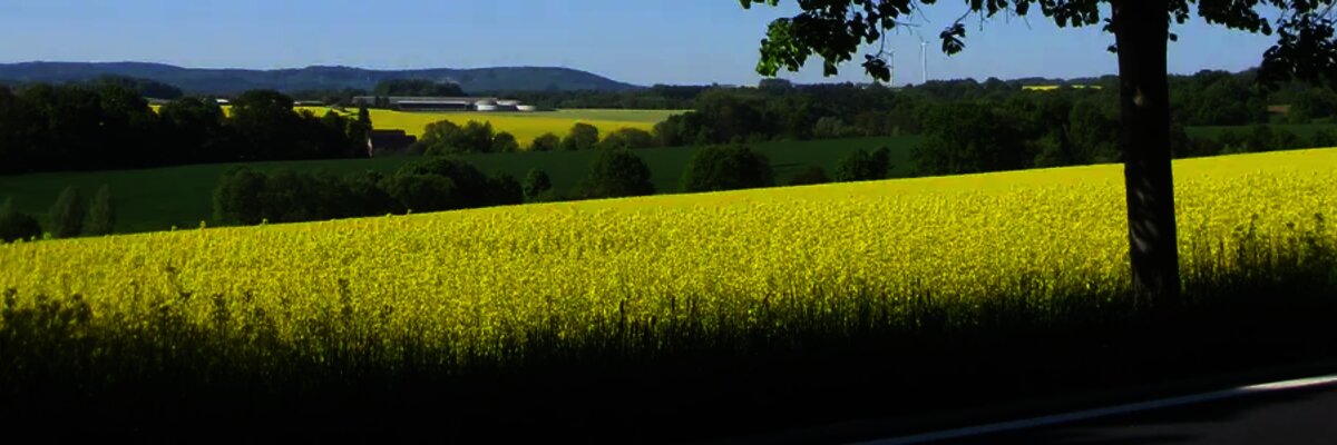 louka pln&aacute; květin ve v&yacute;znamu zemědělsk&yacute; segment Agrofert