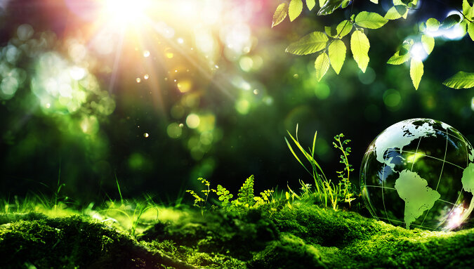 EUDR &ndash; Eur&oacute;pske nariadenie o odlesňovan&iacute;