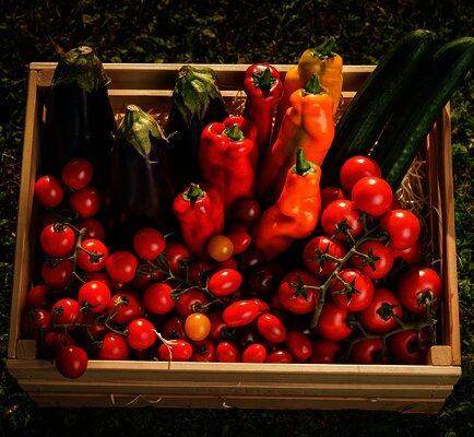 Box full of vegetables