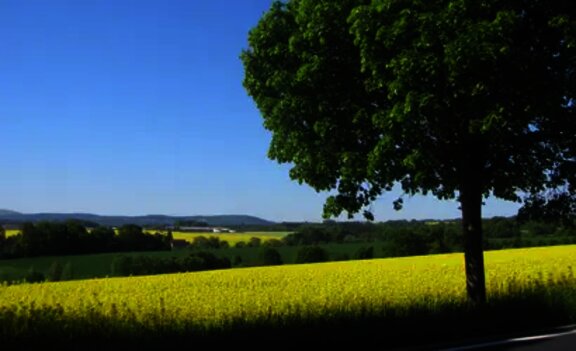 louka pln&aacute; květin ve v&yacute;znamu zemědělsk&yacute; segment Agrofert