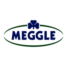 logo Meggle