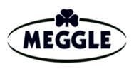 logo Meggle