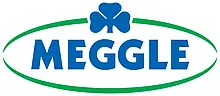 Logo meggle